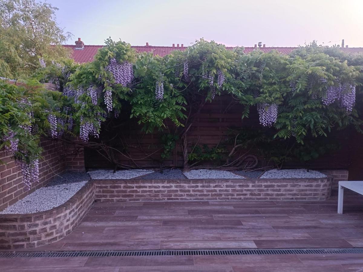 Studio Mer & Aa-Terrasse-Jardin-Wifi-Parking-Classe 3 Etoiles 菲利普大堡 外观 照片
